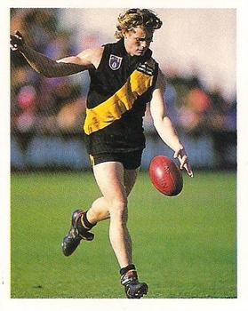 1993 Select AFL Stickers #191 Stuart Maxfield Front